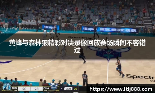 黄蜂与森林狼精彩对决录像回放赛场瞬间不容错过